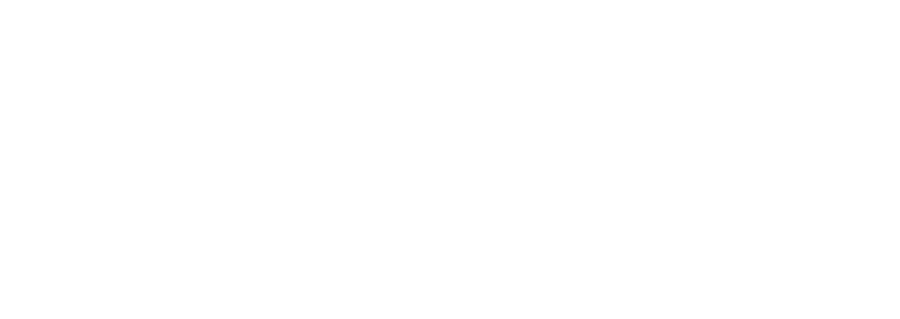 Instituto Elizalvo Neto
